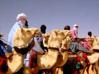 Tamanrasset s’apprête à accueillir le 3ème « Amni » du dromadaire