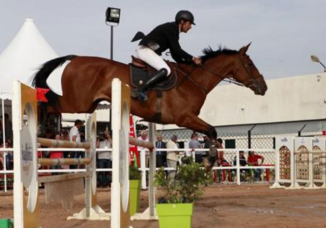 تتويج بن شيخ بالجائزة الكبرى للفروسية بوهران - الشعب أونلاين