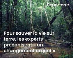 Planète - Pour sauver la vie sur Terre, les experts préconisent «un changement urgent»