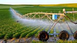 صالون دولي للإستثمار في الفلاحة الصحراوية منتصف جانفي بورقلة - الشعب أونلاين