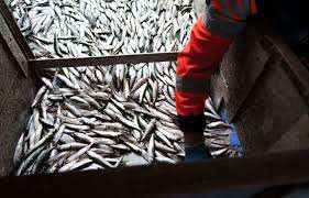 Planète - L’économie dépend de la nature, qui est détruite par… l’économie