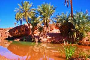 ملتقى مغاربي للسياحة الشبانية بالنعامة - الشعب أونلاين