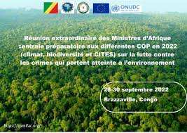 Planète (Afrique) - Les ministres des forêts d’Afrique centrale réunis pour la préservation de l'environnement