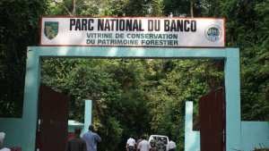 Planète (Côte d'Ivoire/Afrique) - Parc national du Banco