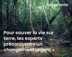 Planète - Pour sauver la vie sur Terre, les experts préconisent «un changement urgent»