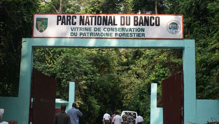 Planète (Côte d'Ivoire/Afrique) - Parc national du Banco