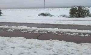 النعامة: تساقط أولى الثلوج لموسم الشتاء