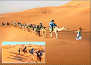 Illizi accueille plusieurs groupes de touristes