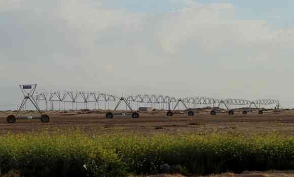 خنشلة: ربط أزيد من 180 مستثمرة فلاحية بشبكة الكهرباء ببلدية بابار