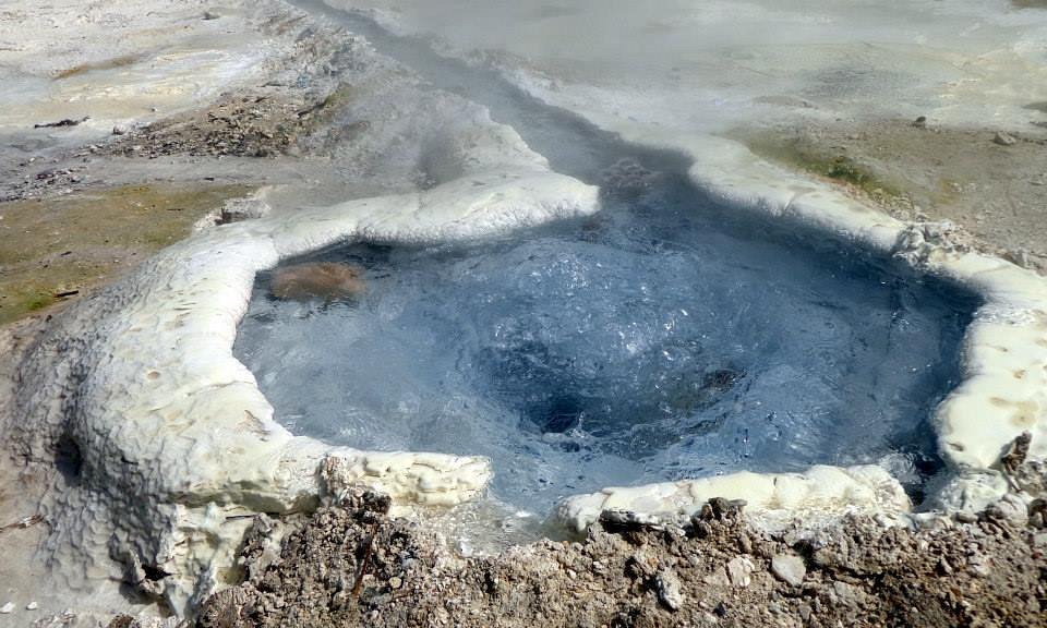 Après les geysers d’Islande, Hammam Debagh à 20 km : À l’ouest de Guelma