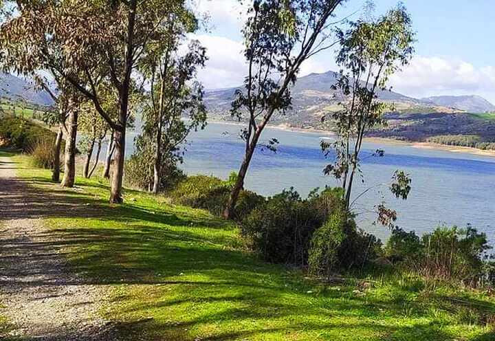 سد بوحمدان: جوهرة مائية في ولاية قالمة