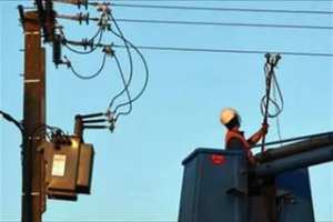 وهران : التأكيد على أهمية المعالجة الشتوية للأشجار المثمرة لتقليص الآفات  الزراعية