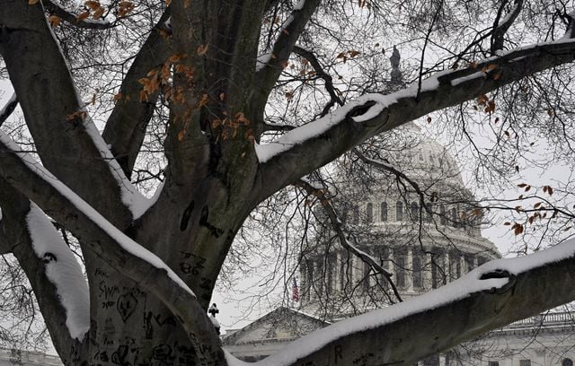Planète (Etats-Unis/Amérique du Nord) - Washington sous la neige, -18°C…:  Les photos de la tempête hivernale