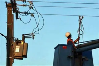 وهران : التأكيد على أهمية المعالجة الشتوية للأشجار المثمرة لتقليص الآفات الزراعية