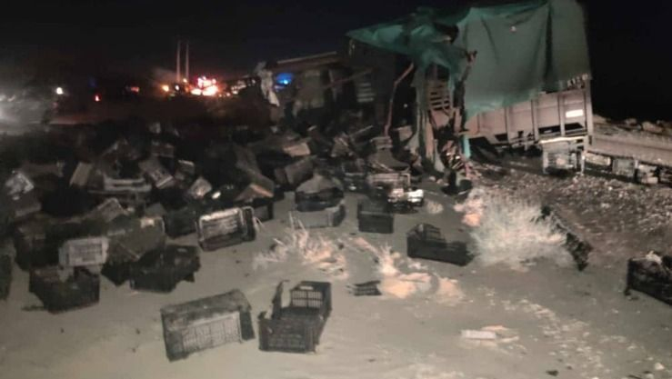 وفاة شخصين وإصابة 12 آخرين في حادث تصادم بين شاحنتين وحافلة بالوادي