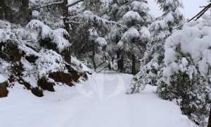 Des chutes de neige attendues sur les reliefs du Centre et de l'Est du pays à partir de ce vendredi