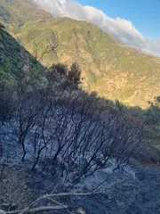 تلمسان: إصابة 11 شخصا في انفجار قارورة الغاز المميع