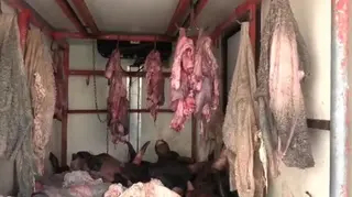 غليزان: 3 جرحى  في إنحراف سيارة بمنداس