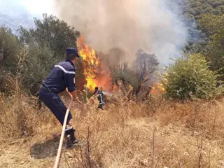 وهران: جريح  في حادث  دهس لعربة الترامواي بساحة أول نوفمبر