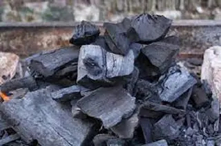 تفكيك شبكة مختصة في سرقة المواشي بغليزان