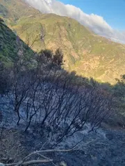 تلمسان: إصابة 11 شخصا في انفجار قارورة الغاز المميع