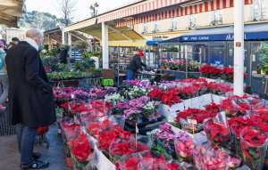 Planète (France/Europe) - Pesticides: Une étude va être menée pour évaluer les risques encourus par les fleuristes