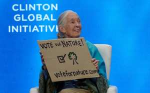 Planète (France/Europe) - Dans les Côtes-d’Armor, une réserve de vie sauvage baptisée du nom de Jane Goodall, icône de la biodiversité