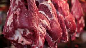 عين الدفلى: حجز 5 قناطير لحوم غير صالحة للإستهلاك