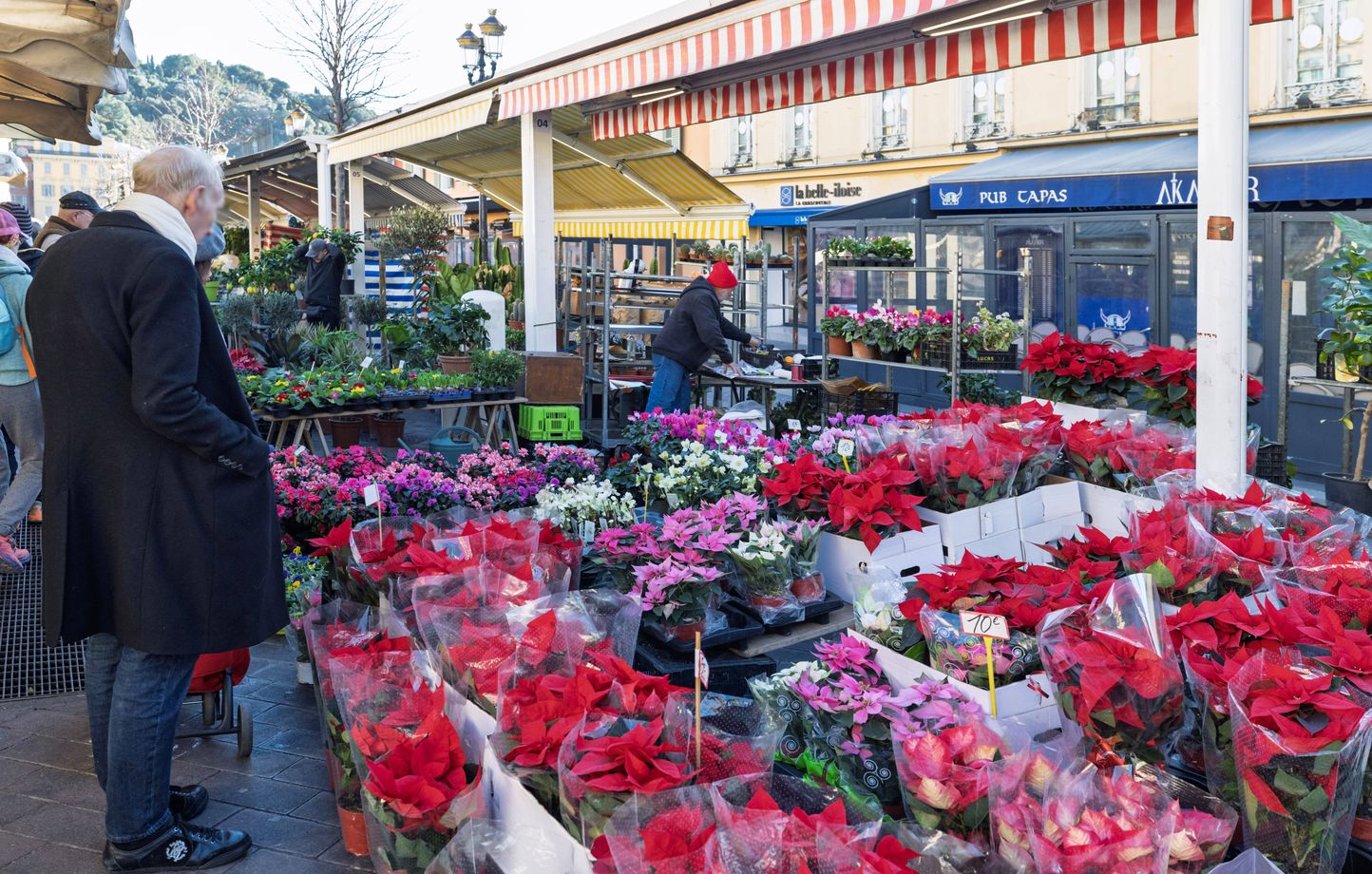 Planète (France/Europe) - Pesticides: Une étude va être menée pour évaluer les risques encourus par les fleuristes