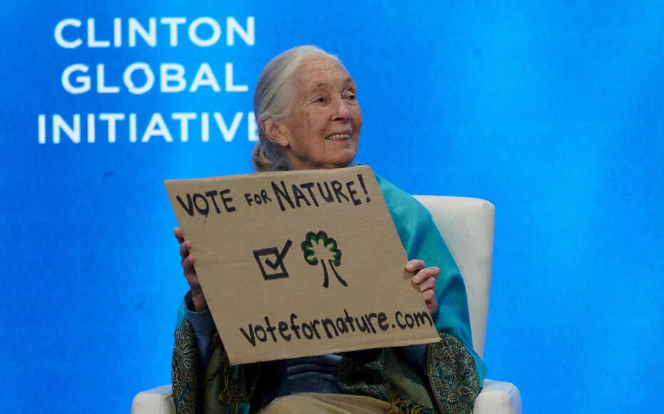 Planète (France/Europe) - Dans les Côtes-d’Armor, une réserve de vie sauvage baptisée du nom de Jane Goodall, icône de la biodiversité