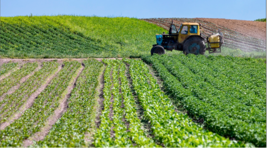 Un dispositif spécifique sera bientôt mis en place