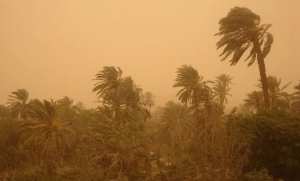 Des vents forts souffleront vendredi sur plusieurs wilayas du sud du pays