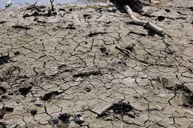 Planète - En janvier 2025, déjà des records de température alarmants