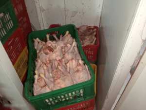 وهران: حجز 471 كلغ من اللحوم البيضاء غير صالحة للإستهلاك البشري بالسانيا