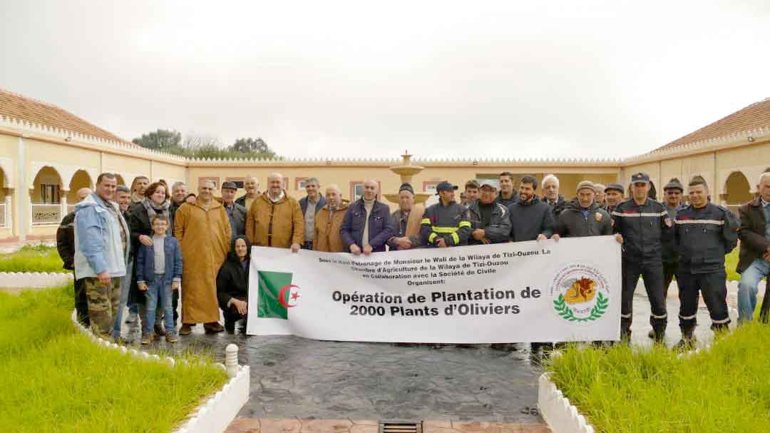 Algérie (Tizi Ouzou) -  Large campagne pour la plantation de 2.000 oliviers