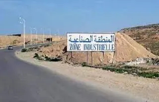 مستغانم : خبراء ينشطون يوما دراسيا حول تربية النحل ... رقمنة الشعبة أهم التوصيات