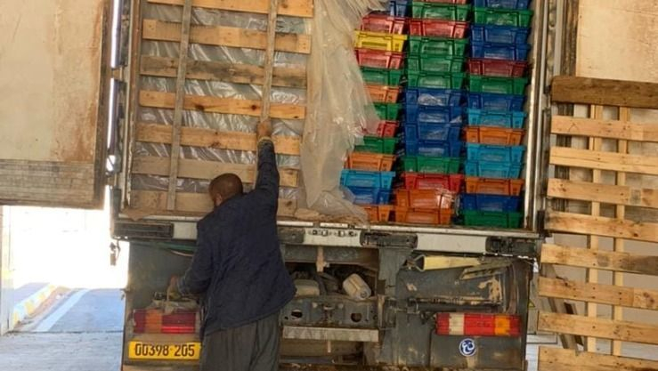 تندوف: إستيراد شحنة جديدة من السمك الطازج الموريتاني