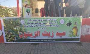 البويرة : مشاركة 7 ولايات في الطبعة الأولى للعيد الجهوي لزيت الزيتون