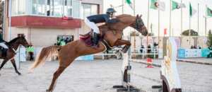 Faouzi Sahraoui élu à la tête  de la Fédération équestre algérienne