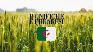 Algérie (Timimoun) - Contrat de concession pour l'Italien Bonifiche Ferraresi: Le projet de céréales et de légumineuses sur de bons rails