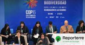 Planète (Rome/Italie/Europe) - COP16:  À la COP16, les États trouvent enfin un accord financier pour la biodiversité