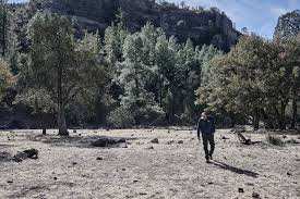 Planète (Amérique du Nord) - Au Mexique, ces éleveurs accueillent le loup au lieu de le chasser