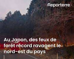 Planète (Asie) - Au Japon, des feux de forêt record ravagent le nord-est du pays