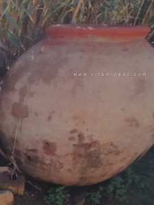 Tigava Castra est un site archéologique romain situé près du village d'El Attaf en Algérie