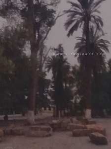 Aquae Calidae est un site archéologique situé près de la ville de Hammam Righa dans la wilaya de Ain Defla, en Algérie.