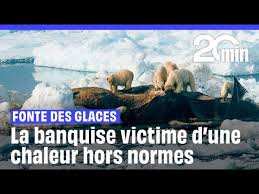 Planète - Fonte des glaces: En Arctique comme en Antarctique, la banquise n’a jamais été aussi réduite