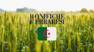 Algérie (Timimoun) - Contrat de concession pour l'Italien Bonifiche Ferraresi: Le projet de céréales et de légumineuses sur de bons rails