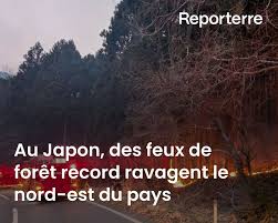 Planète (Asie) - Au Japon, des feux de forêt record ravagent le nord-est du pays