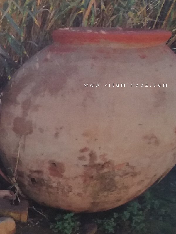 Tigava Castra est un site archéologique romain situé près du village d'El Attaf en Algérie