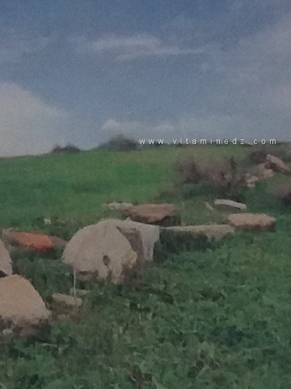 Oppidum Novum est un site archéologique situé dans la région d'Aïn Defla, en Algérie.